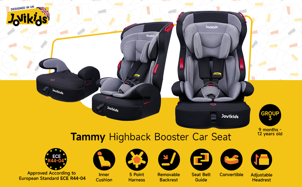 Tammy Convertible Car Seat with 3-Point Seat Belt